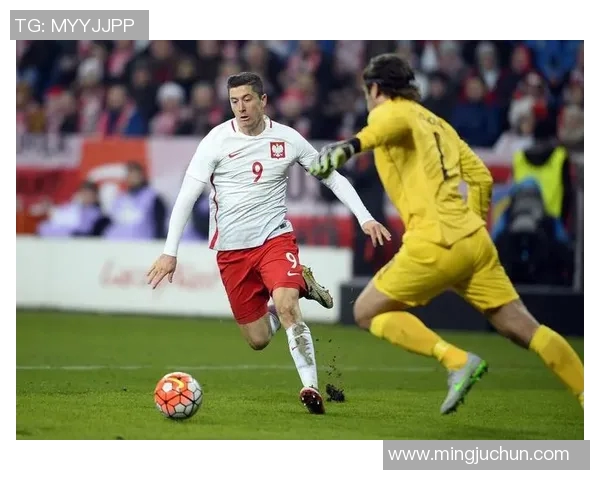 捷克与塞尔维亚篮球历史交锋记录分析及战绩回顾