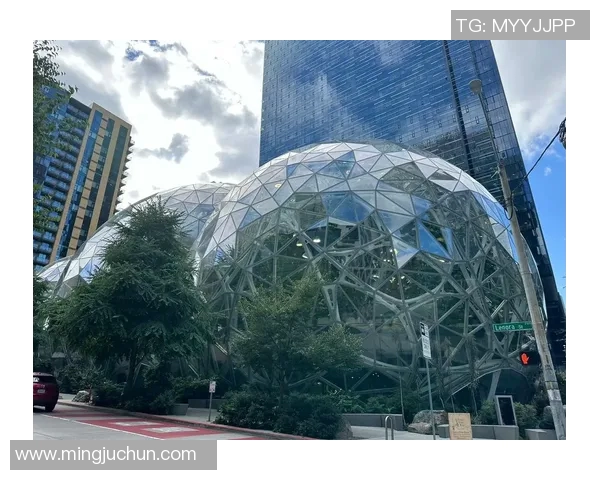 纽约城与西雅图海湾的文化碰撞与城市魅力之争