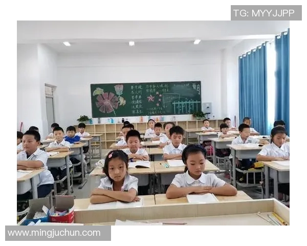 付豪的奋斗历程与成长故事探寻他背后的坚持与梦想