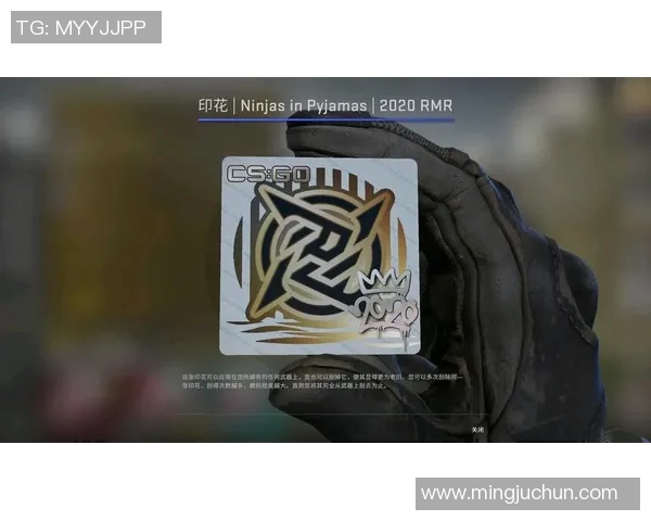 EDG战队区域防守体系解析与CSGO战术运用探讨